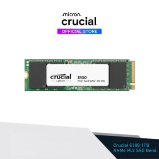 CRUCIAL E100 NVMe GEN4 1TB