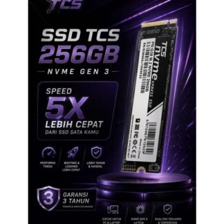TCS SSD NVMe 256GB