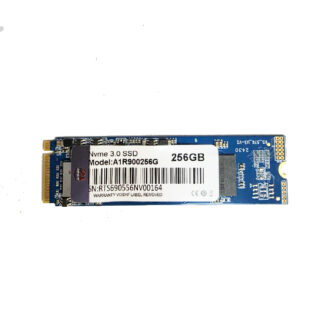 AEGIS SSD NVMe 256GB